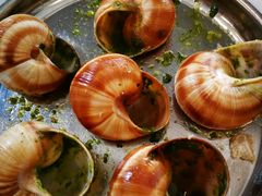 -Le Comptoir de la Gastronomie