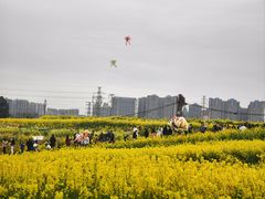 -三圣花乡旅游区