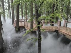 -东湖落雁景区