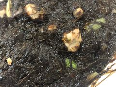 紫菜闷海蛎-海坛特色小吃·只做平潭特色菜(平潭店)