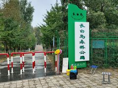 -长白岛森林公园