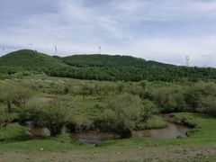 -塞罕坝国家级自然保护区