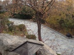 金隅凤山温泉度假村-金隅凤山酒店