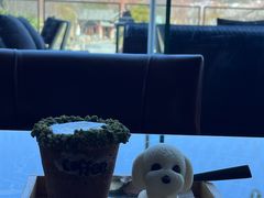 -时光吧·大堂吧·丽江和府洲际度假酒店