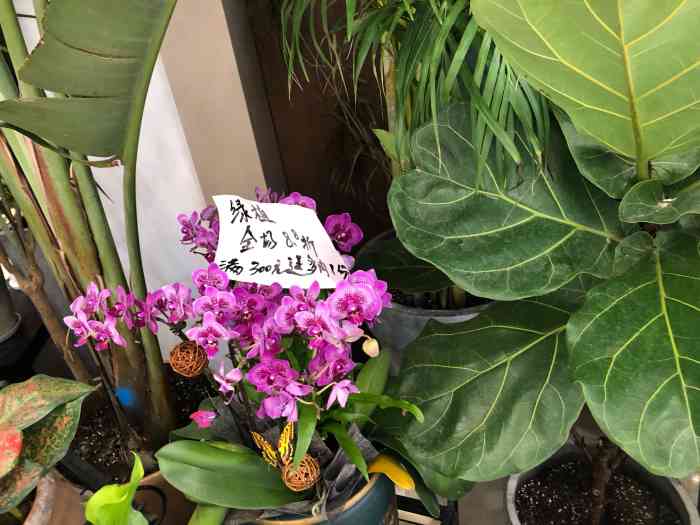 一米花坊-"这家店在百货大楼的一楼,就在北边大门进."-大众点评移动版