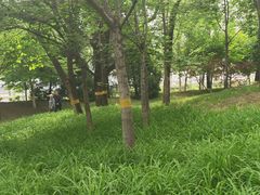 -北极寺公园