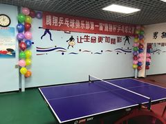 -腾翔乒乓球培训(亚运村店)