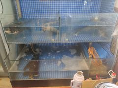 -红烧鱼头·杭帮菜·特色烧烤