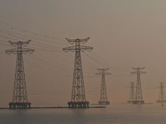 -宝安西湾红树林湿地公园