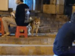 -小胖老味刨冰