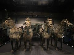 -秦始皇帝陵博物院-丽山园