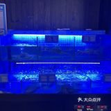 谁懂啊！！露天烧鸟和夏天真的太配了[流泪]