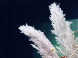 -奈瑞儿美颜塑身SPA