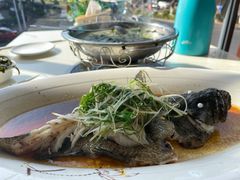 -鑫悦楼煎蟹·16年海鲜大排档