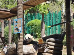 -大连森林动物园