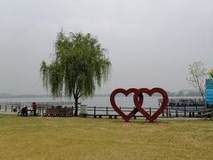 -鹅湖玫瑰文化园