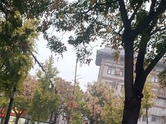 -一记洛阳菜·糖醋小排·水席(十字街店)