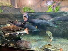 -太平洋海底世界