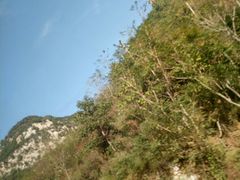 -焦作青龙峡风景名胜区