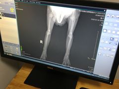 -菲丽丝宠物医院·24小时·猫科中心·免疫点(淮海分院)