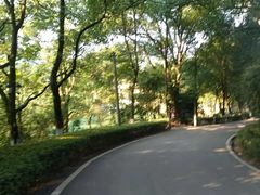 -石燕湖生态旅游景区