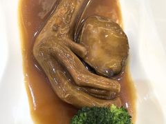 -有腥气私房菜·寻味顺德