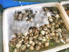 -渔中舟海鲜大排档(普陀沈家门店)