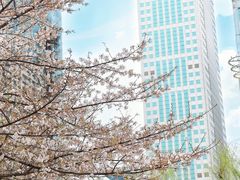 -西北湖绿化广场