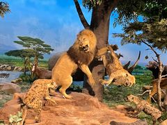 -国家自然博物馆