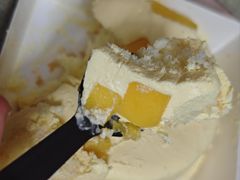 -糕小爱动物奶油生日蛋糕定制(晋江万达店)