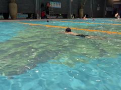 -春晖园度假酒店温泉