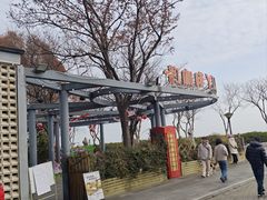 -贡湖湾湿地公园