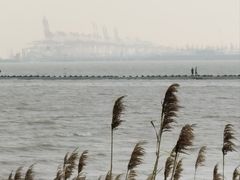 -上海吴淞炮台湾国家湿地公园