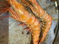 -熊出没日本烧肉放题