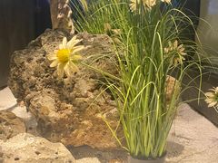 -见康道莱•足浴按摩•艾灸•SPA(友谊店)
