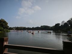 -枫香湖儿童公园