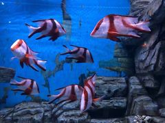-常州海昌海洋探索馆