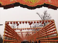 -北京凤凰岭