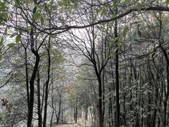 -南山植物园