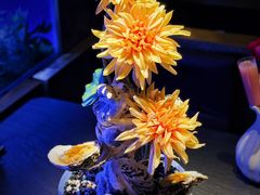 韩国酸辣进口活生蚝-蟹犇前•帝王蟹雪蟹(陆家嘴店)