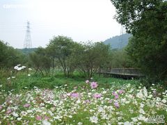 -西湖风景区-江洋畈生态公园