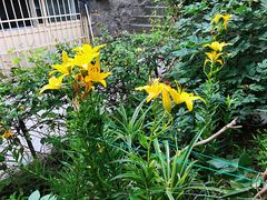 -公寓家常菜馆(海军博物馆店)