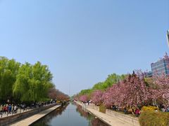 -元大都城垣遗址公园