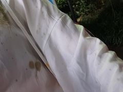 -陈帅夜排档·龙虾·炒菜·烤串(世茂店)