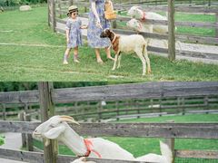 -前小桔亲子创意农场·草莓采摘·露营烧烤