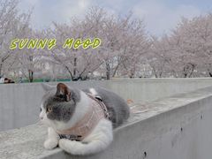 -龙美术馆(西岸馆)