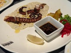 -Efes Turkish & Mediterranean Cuisine 艾菲斯餐厅(陆家嘴店)