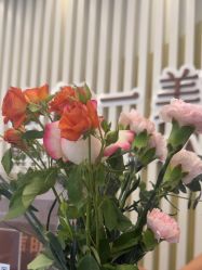 -和颜一美轻医美连锁