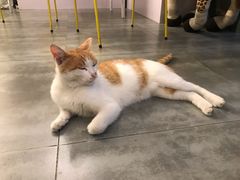 -五进制 Coffee Shop