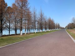 -苏州东太湖生态园